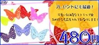 【480円】カラー蝶ストラップ