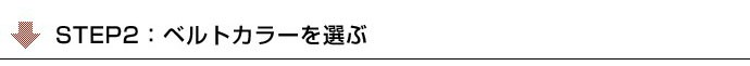 STEP2:ベルトのカラーを選ぶ/10種類