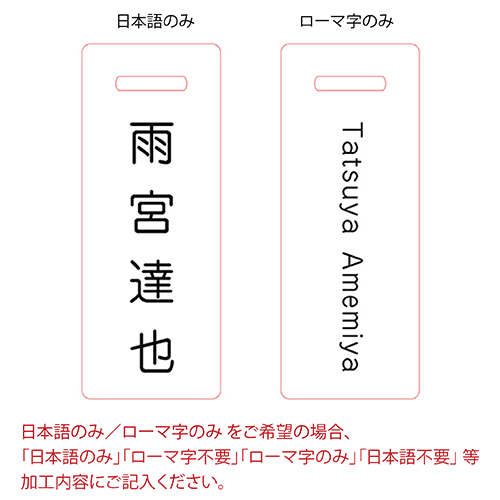 日本語のみ
