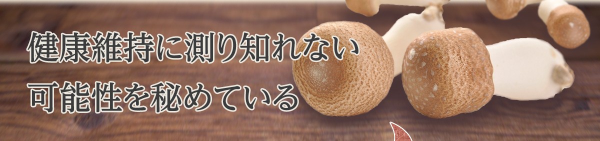 がりくださ アガリクス茸 9袋まとめ買い 国産 姫マツタケ 乾燥 アガリクスダケ 父の日 健康食品 お中元 (1袋150g入)  きのこはホクト菌活ショップ - 通販 - PayPayモール ヒメマツタ - shineray.com.br