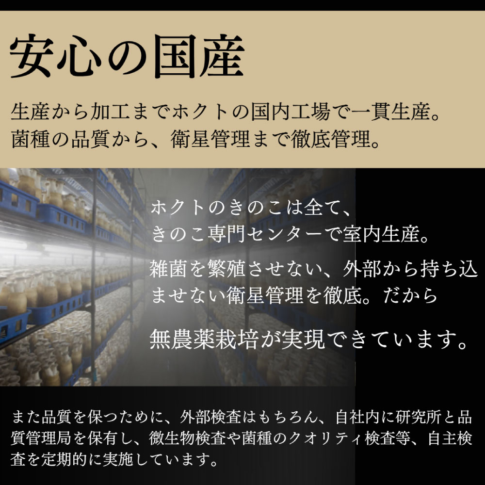 椎茸2