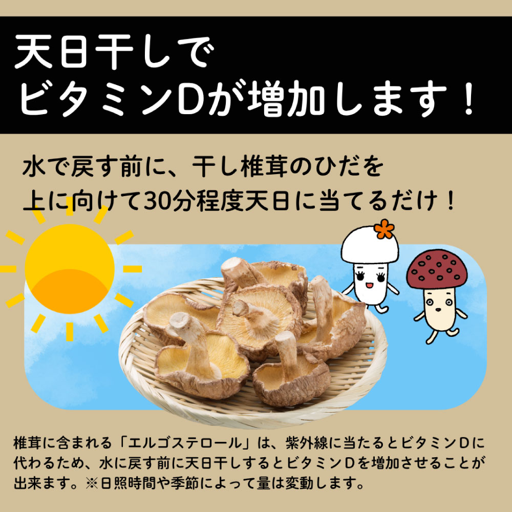 ホクト 【業務用】干し椎茸 1kg 国産【訳あり】ホクト 長野県産 どんこ
