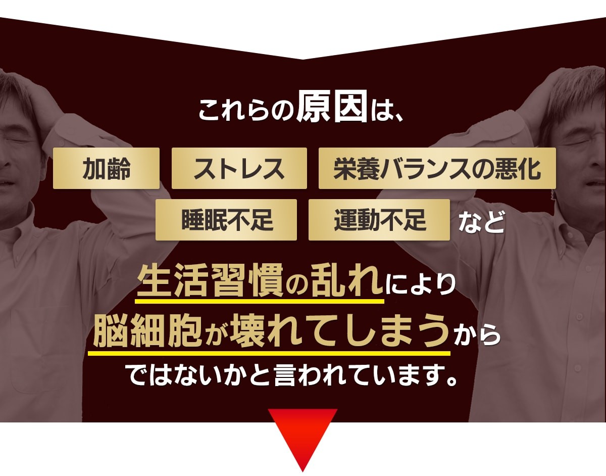 これらの原因は、生活習慣の乱れにより、脳細胞が壊れてしまうからでは・・・と言われています。