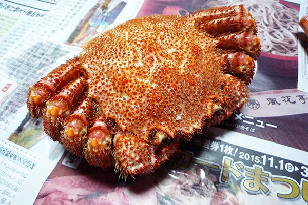 北海道オホーツク産 毛ガニ2尾 (約400g×2尾) 沙留漁協 クール便送料