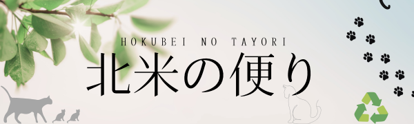 北米の便り
