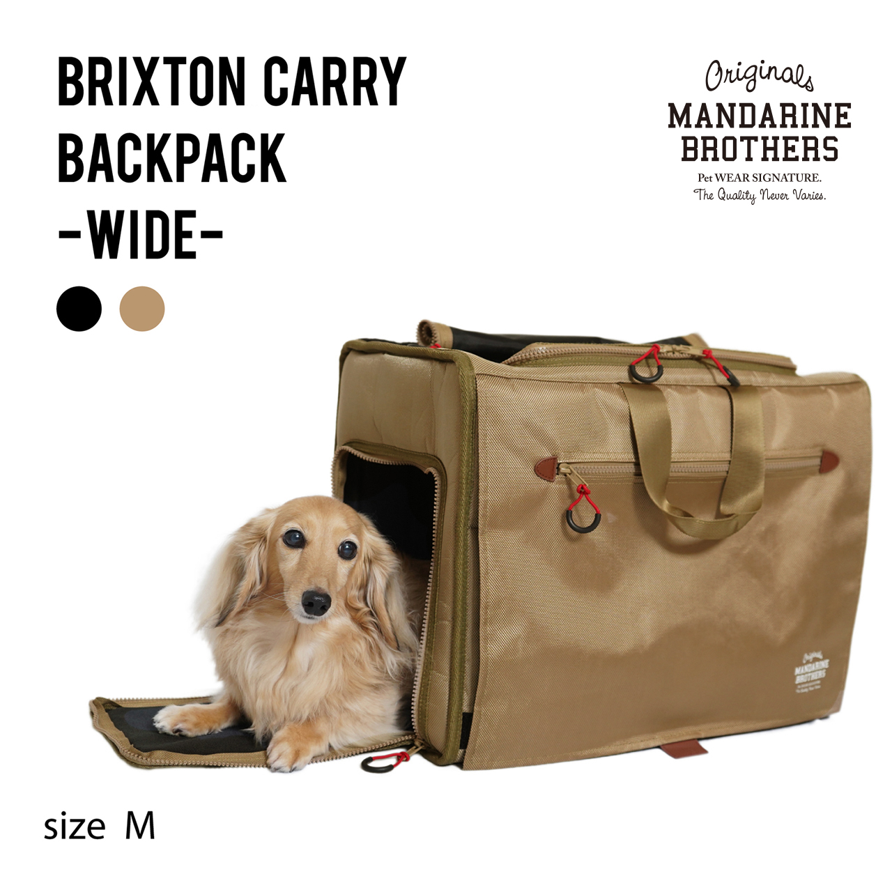 MANDARINE BROTHERS(犬)
