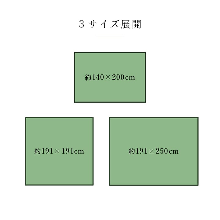(タイムセール中) ラグマット 夏用 140×200cm い草ラグ 日本製 おしゃれ モダン 抗菌防臭