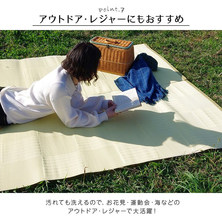 レジャーシート 261×352cm 江戸間6畳 洗える ラグマット 日本製の画像