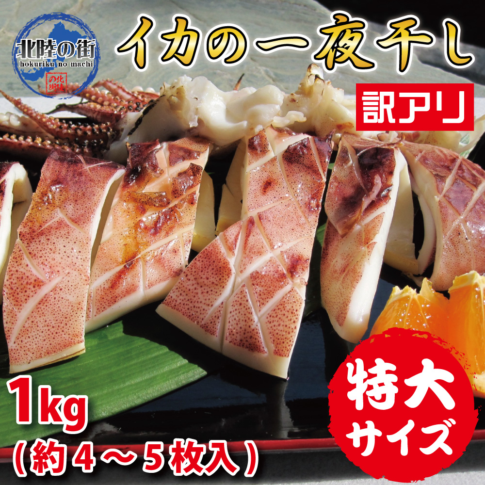 注目の福袋をピックアップ！ 訳アリ 特大いか一夜干し 約4~5枚入り 1kg 胴長２０cm 前後 大型イカ ふっくら肉厚 職人技 旨味あふれる 海鮮  干物 いか イカ 一夜干し