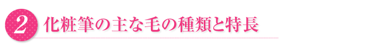 化粧筆の主な毛の種類と特徴
