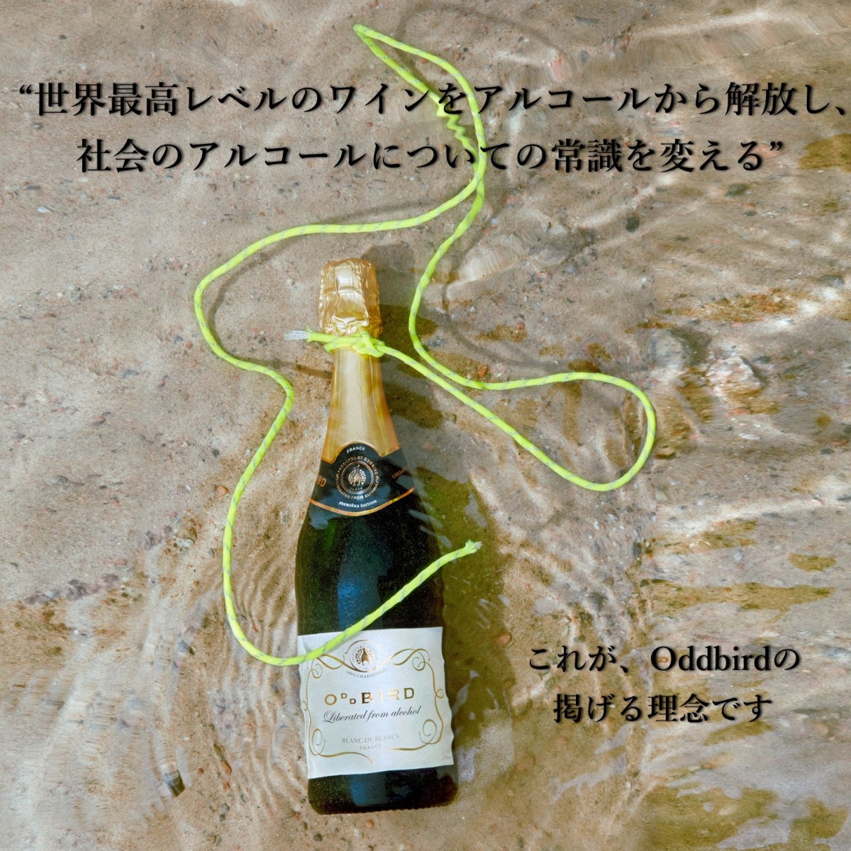ノンアルコールワイン 白】 樽熟成 華やかな香り、鮮やかな複雑