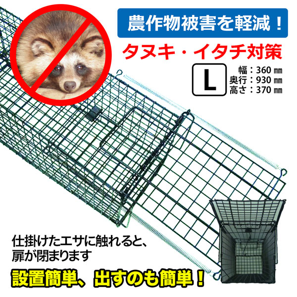 害獣捕獲檻 アニマルキャッチャー Lサイズ [TA-36] Lサイズ 楽天市場】小動物キャッチャー TA36 動物捕獲器(フック式) 箱