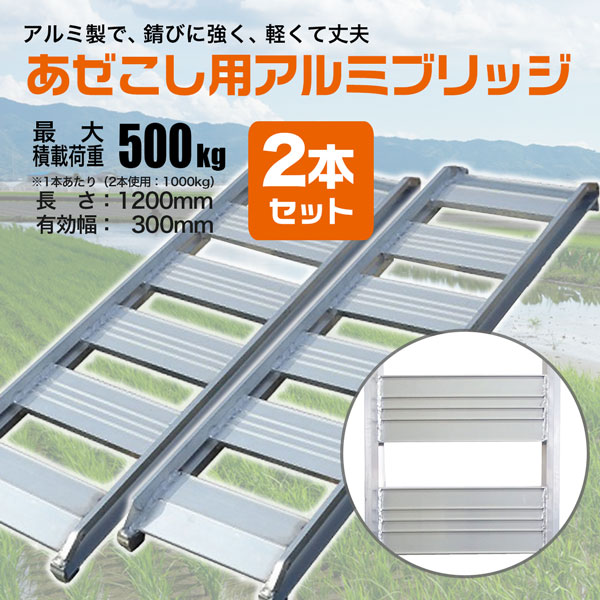 ラダーレール アルミブリッジ畦こし用 1.2m 300mm巾 2本セット アルミラダー アルミスロープ 法人宛基本送料無料 シンセイ直送 :  s-albrige1230-2p : HOMEOWN - 通販 - Yahoo!ショッピング