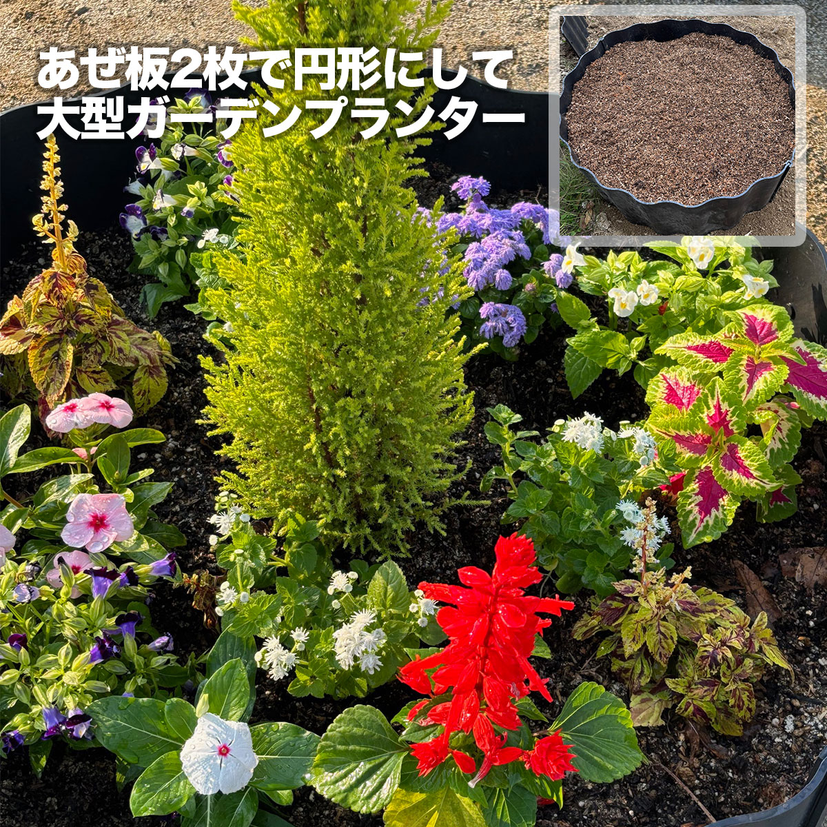 あぜ板 家庭菜園 土どめ 仕切り