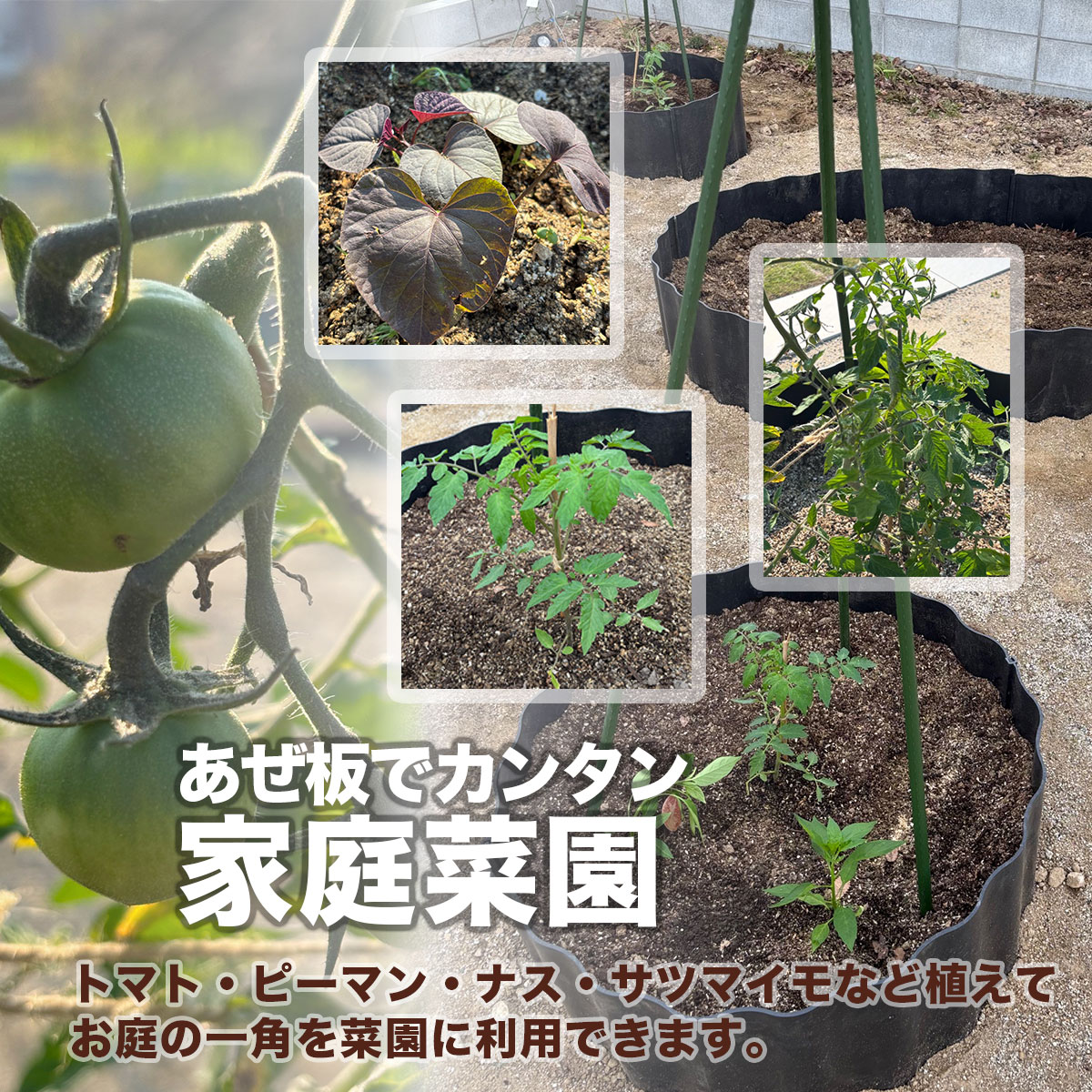 あぜ板 家庭菜園 土どめ 仕切り