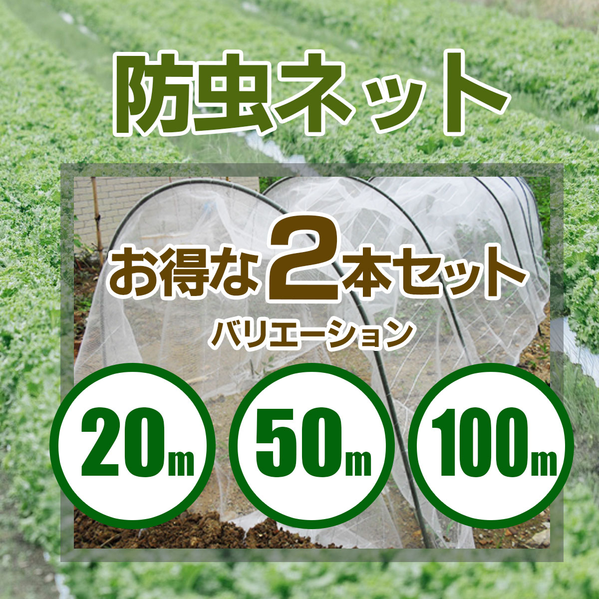 SHINSEI 防虫ネット 1mm目 幅2.1m 長さ100m 2本セット 農業資材 野菜 