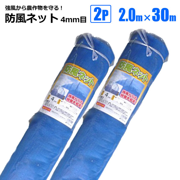 SHINSEI 防風ネット 4mm目 2m×30m 2本 ブルー 農業資材 園芸 家庭