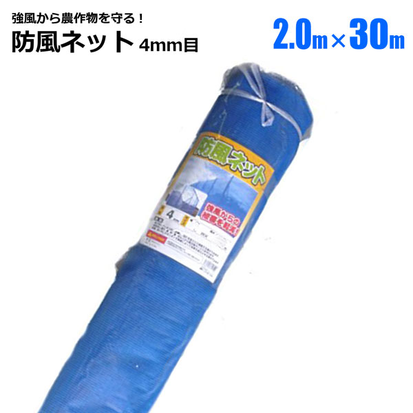 防風ネット 4ｍｍ目 2m×30m 1本 ブルー 農業資材 園芸 家庭菜園 強風 風雪 対策 法人宛基本送料無料  :s-bhu4-2030:HOMEOWN 通販 