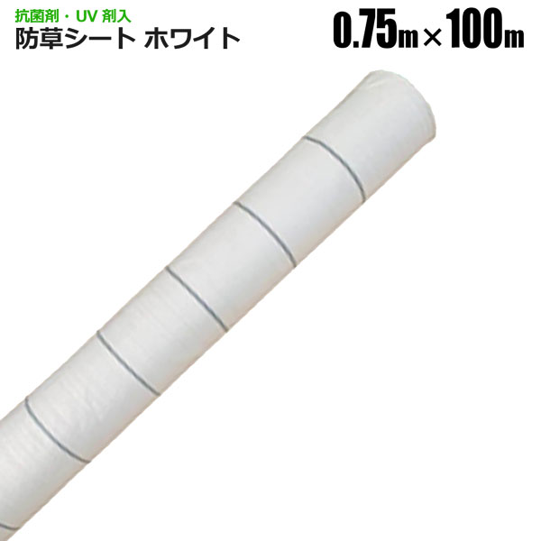 シンセイ 防草シートの人気商品・通販・価格比較 - 価格.com シンセイ 防草シートの人気商品・通販・価格比較 - 価格.com