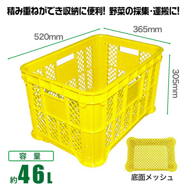 採集コンテナ 底面メッシュ 選べる2色 黒 黄 同色6個セット 収穫