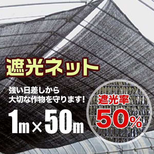 遮光ネット 黒 遮光率50％ 1m×50m 2本セット 日よけシート 農業用 遮熱遮光 シンセイ メーカー直送 法人宛基本送料無料 農業用 