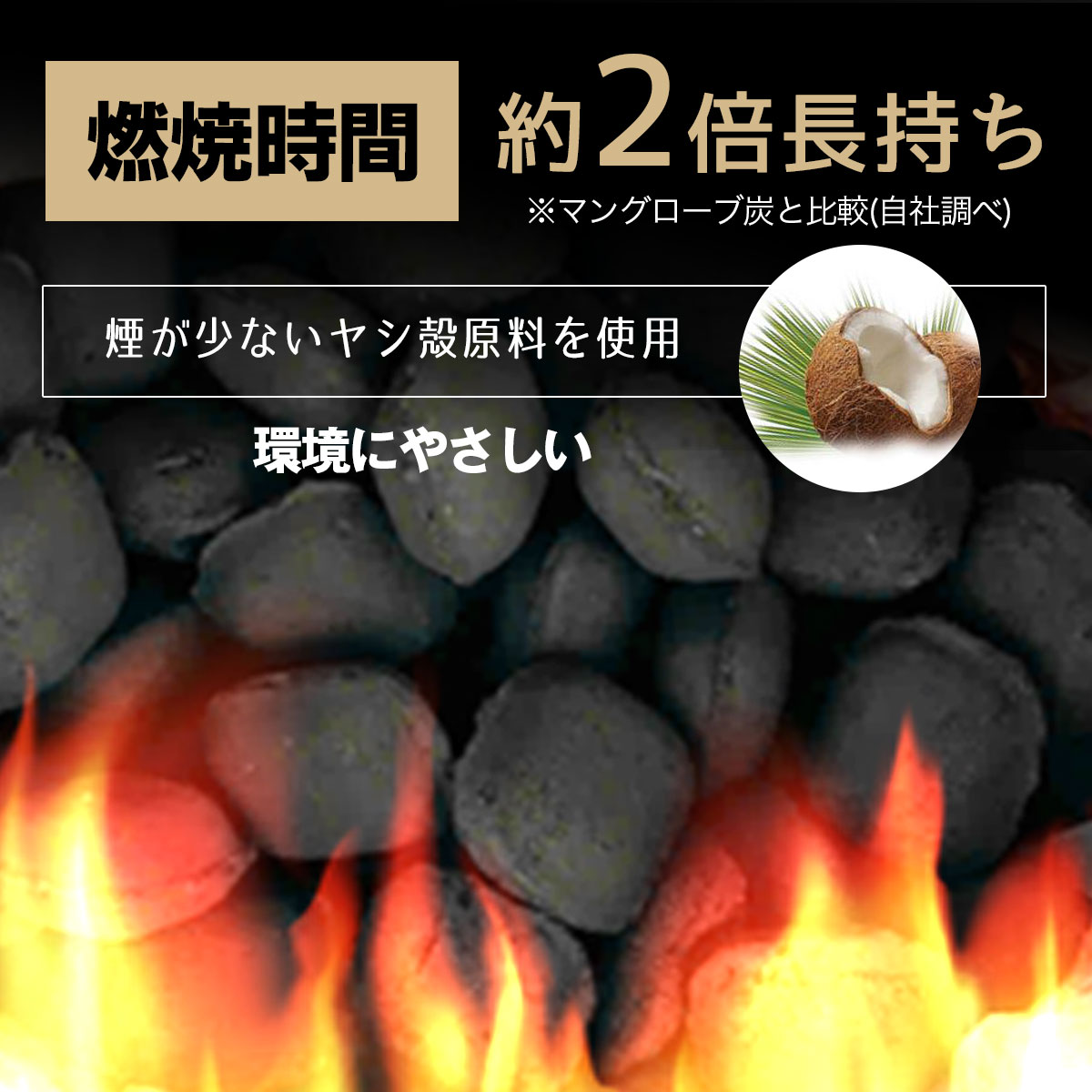 SHINSEI 屋外BBQ用豆炭 12kg×2袋セット 燃料 安定火力でBBQ七輪に最適