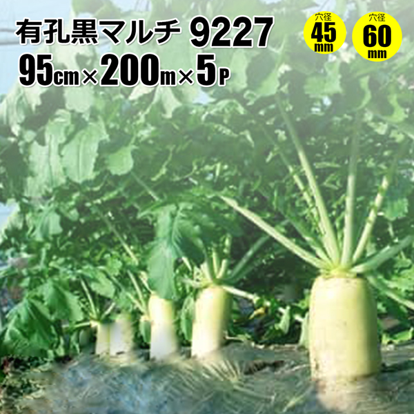 SHINSEI 国産 有孔黒マルチ9227 5本セット 穴径 60mm 0.02mm