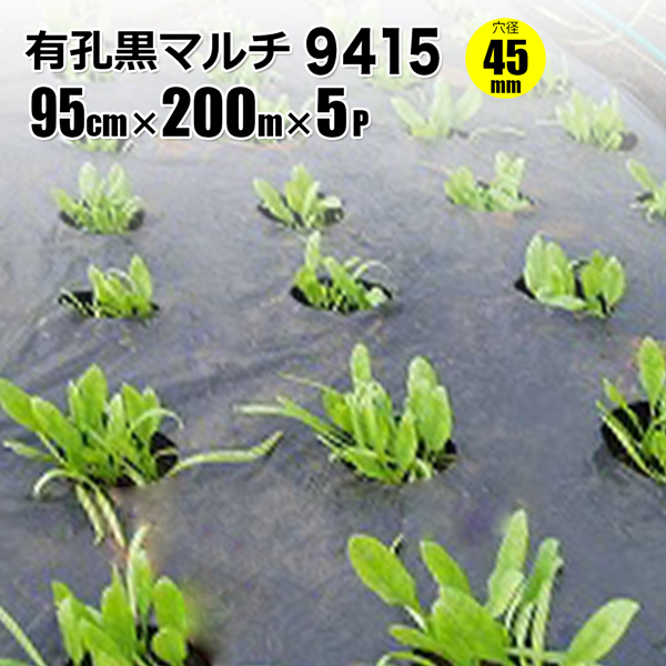 axist-online_4987350394590
