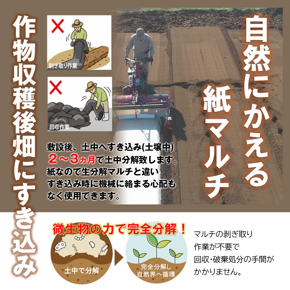 SHINSEI OIJ サステナマルチスタンダード 土壌分解紙マルチ 幅95cm×長