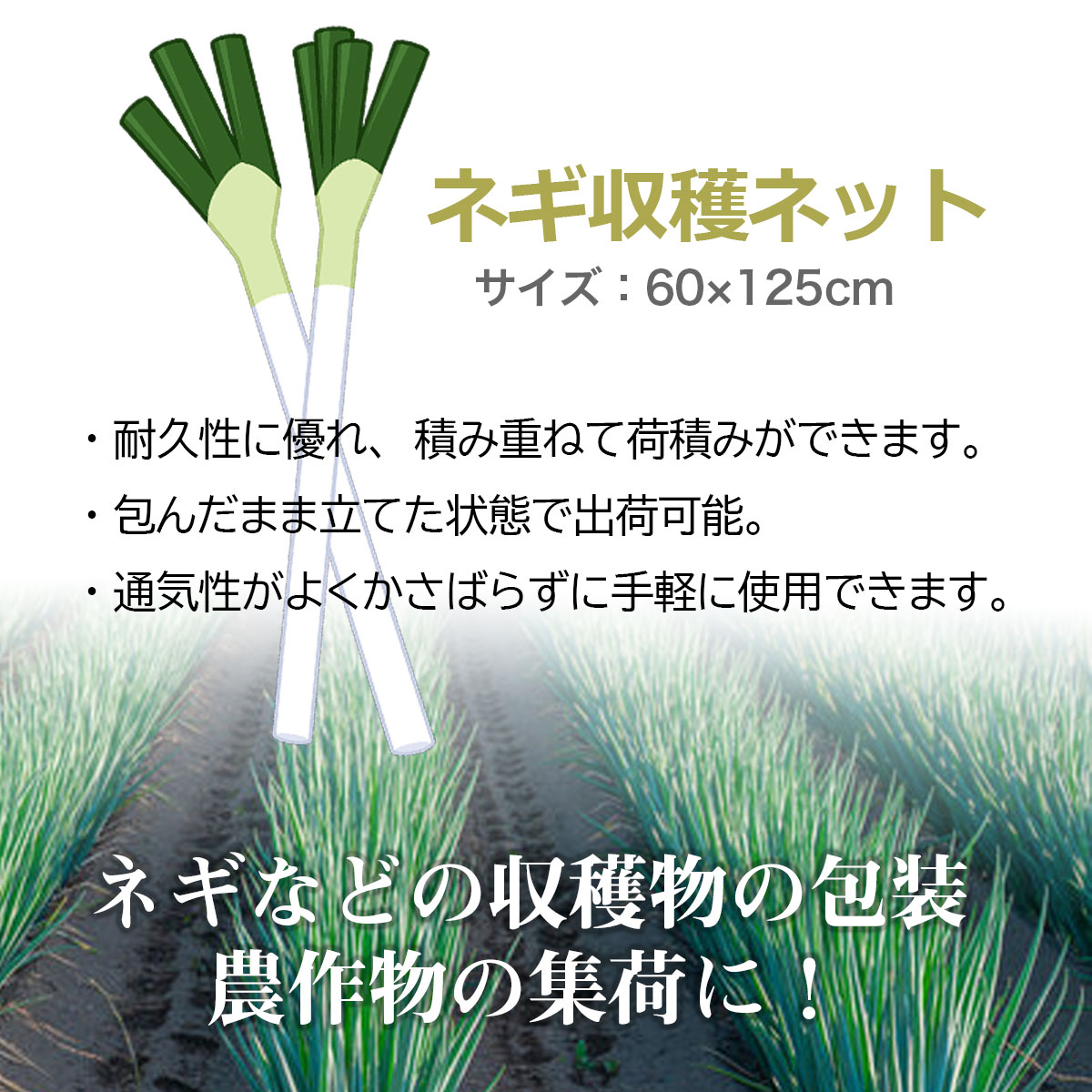 ネギ収穫ネットの商品一覧 通販 - Yahoo!ショッピング