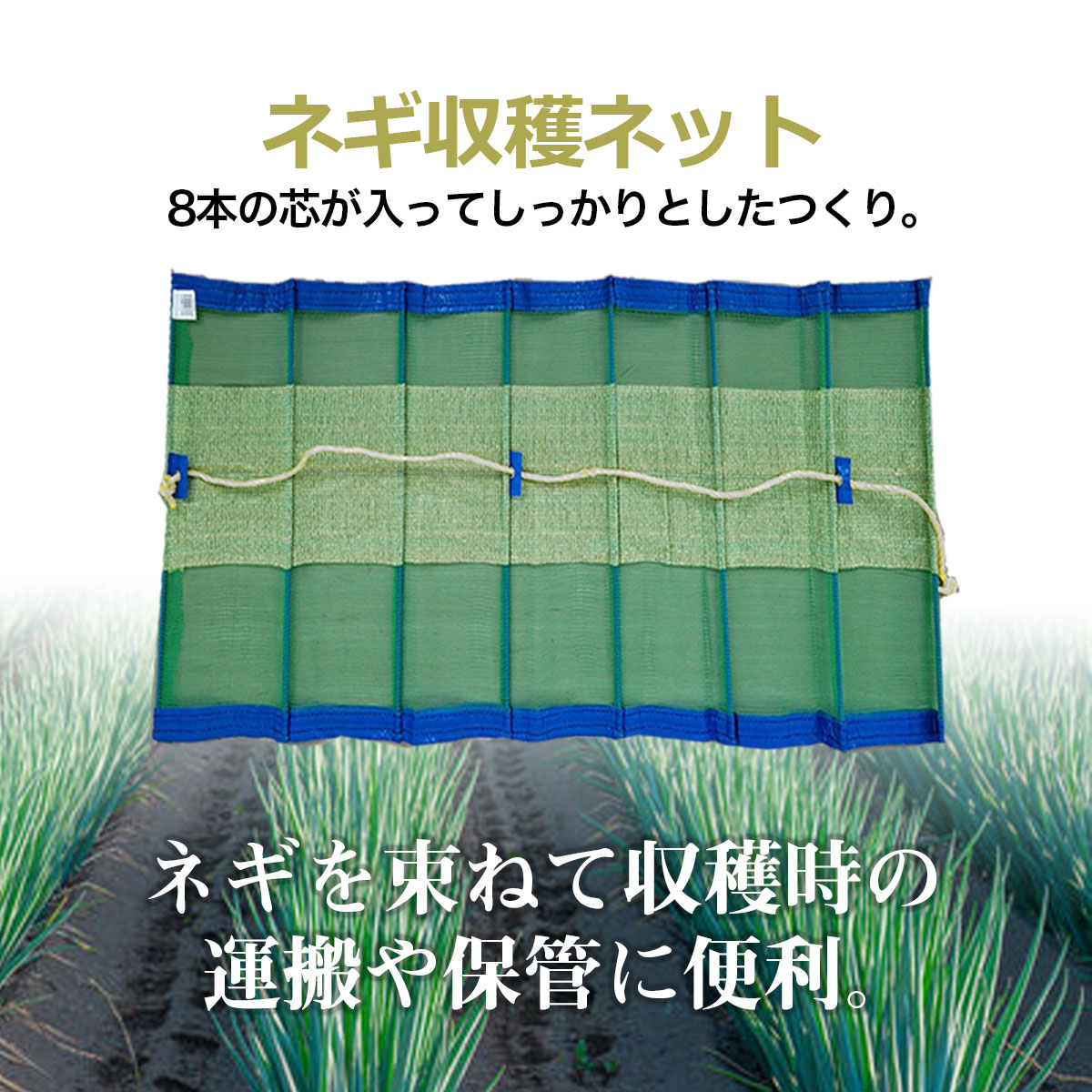 ネギ収穫ネットのおすすめ人気商品一覧 通販 - Yahoo!ショッピング