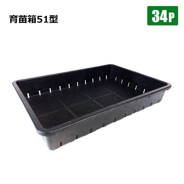 育苗箱 51」の人気商品一覧 | 安い商品を通販サイトから探す - 価格.com