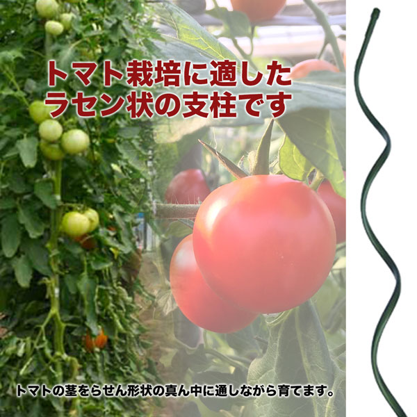 トマト支柱 Φ11 長さ 1200mm 50本 らせん支柱 トマト きゅうり栽培