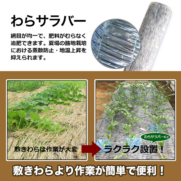 新むきもの技法 全10巻 新品未開封 草林舎 SHINSEI わらサラバー 1m×20m 2本組 シルバー 防虫効果 敷きわら