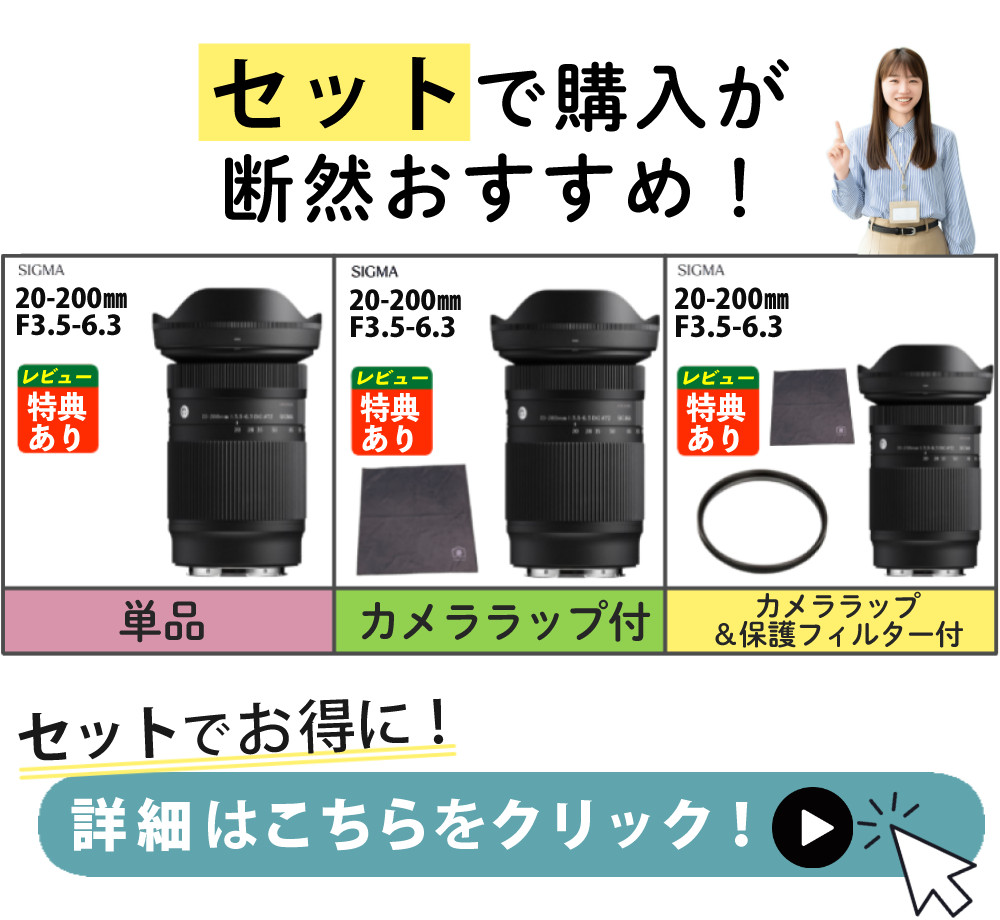 シグマ 20-200mm F3.5-6.3 DG（C）ソニーEマウント用 フルサイズ