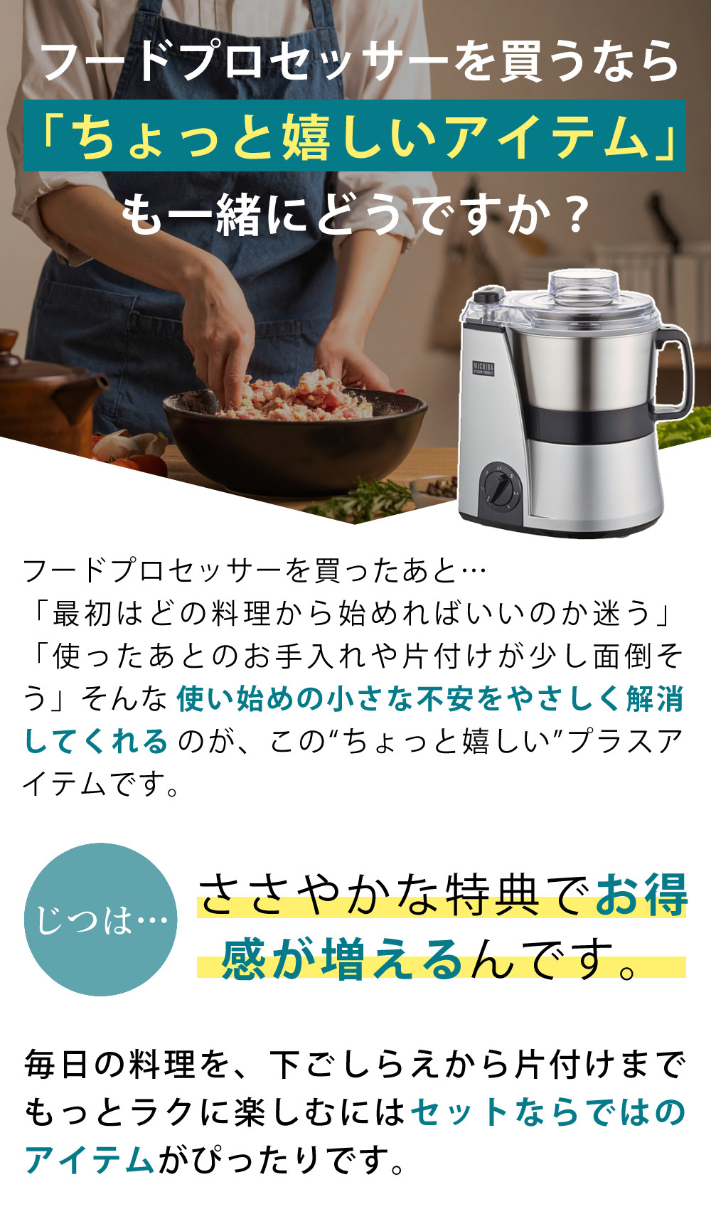 山本電気 フードプロセッサー 道場六三郎監修 マルチスピードミキサー