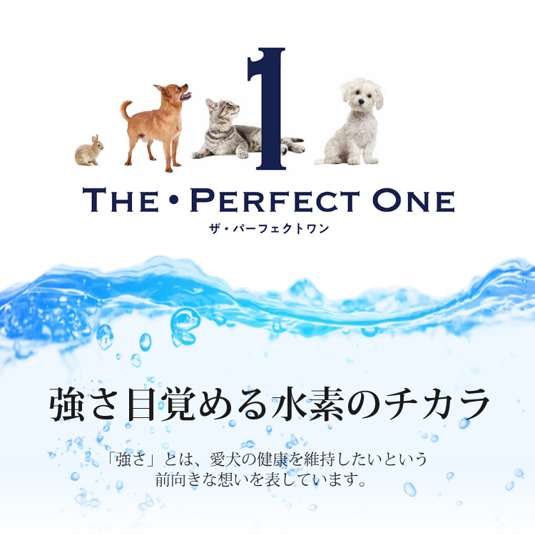 サンライズ THE・PERFECT ONE ソフト チキン 13歳以上用 500g（STP-010