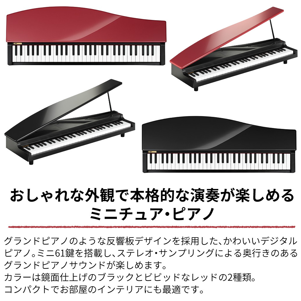 KORG（コルグ） 電子ピアノ マイクロピアノ ブラック レッド