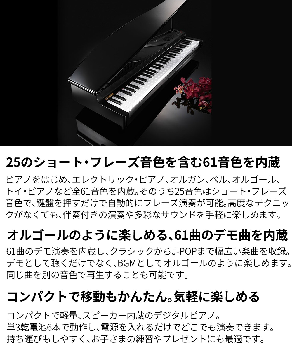 KORG（コルグ） 電子ピアノ マイクロピアノ ブラック レッド