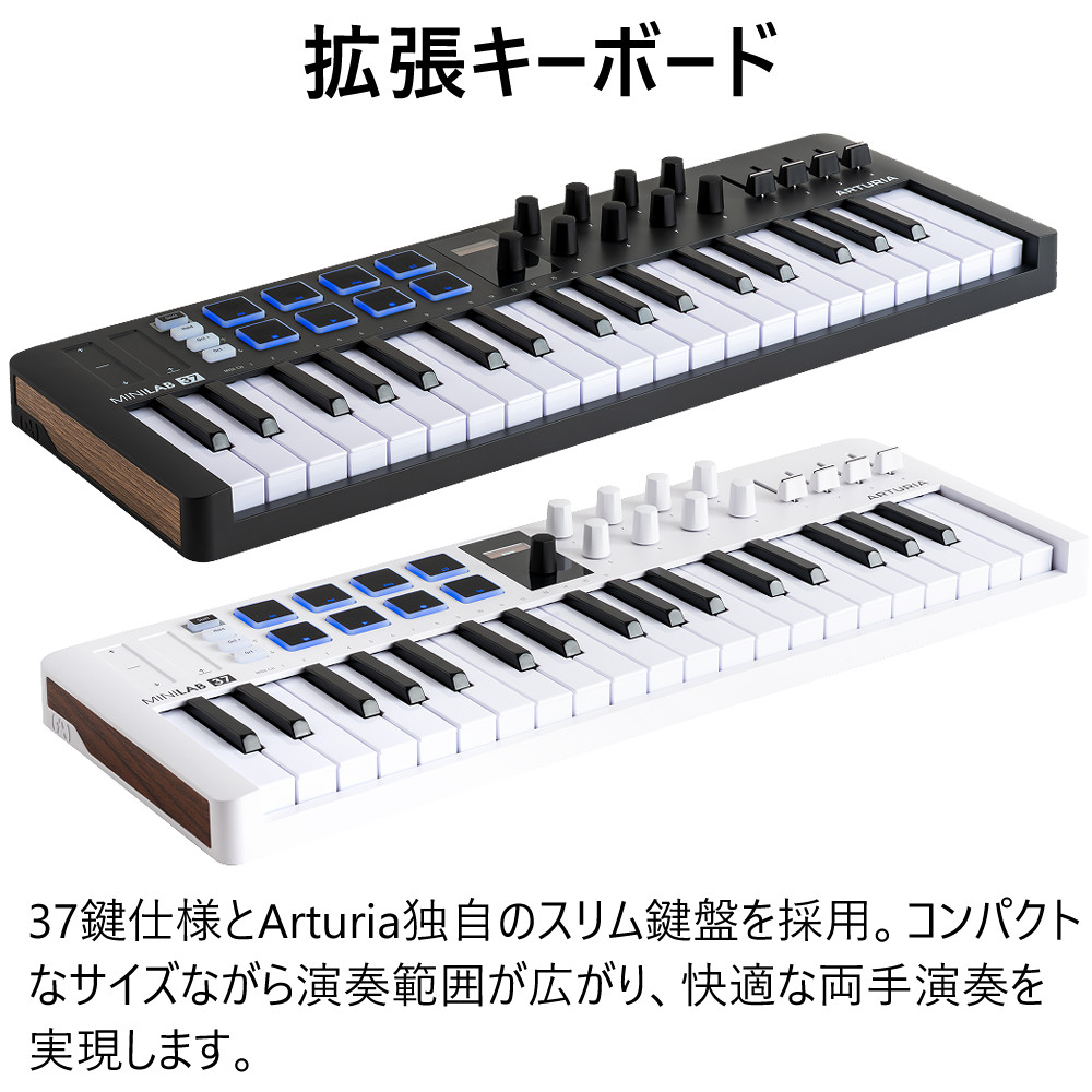 KORG（コルグ） Arturia MIDIコントローラー MiniLab 3 37鍵 MIDI