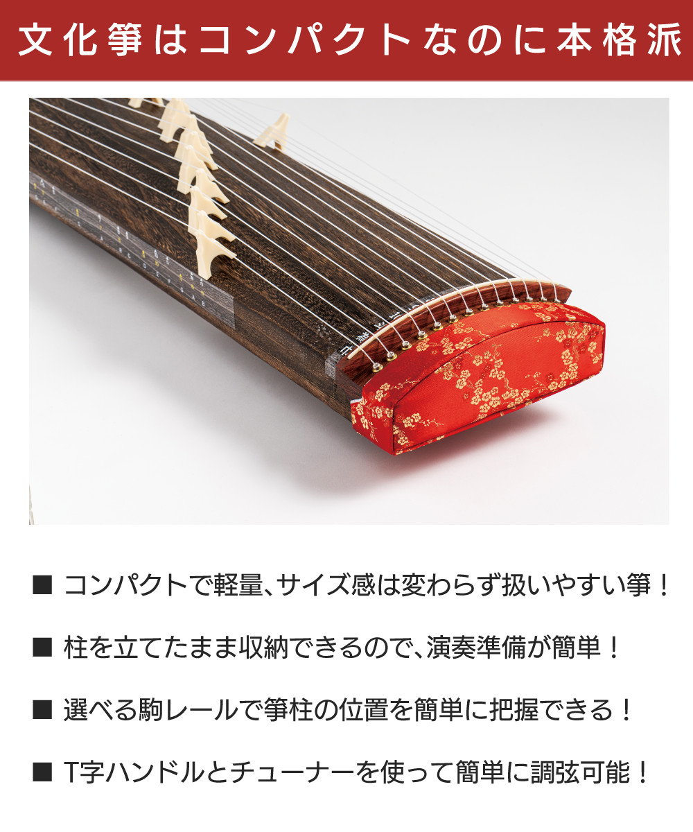 琴 全音 文化箏 羽衣 ケース付き ゼンオン ZK-10 和楽器 文化琴 学校
