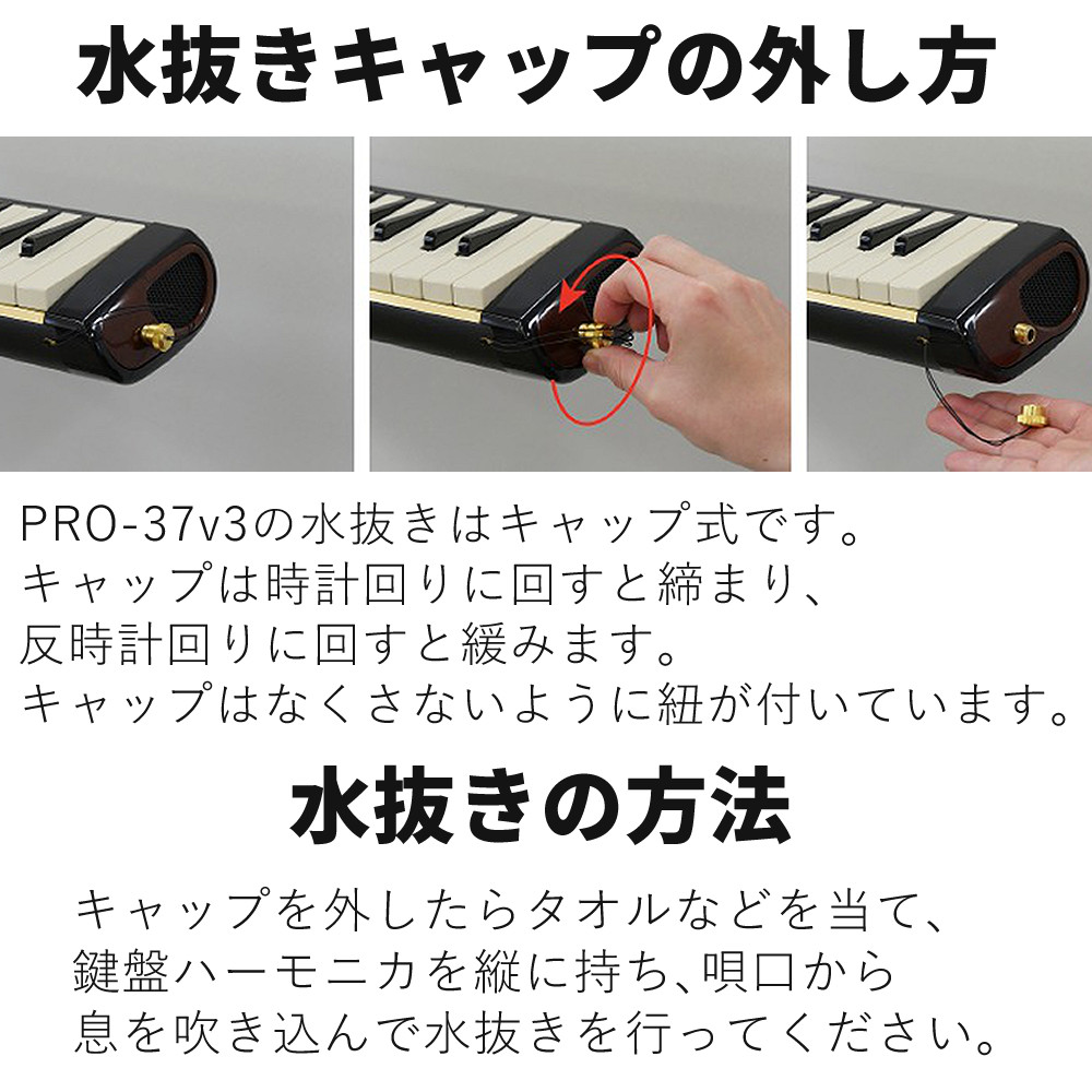 アイオン スズキ 鍵盤ハーモニカ メロディオン アルト PRO-37v3