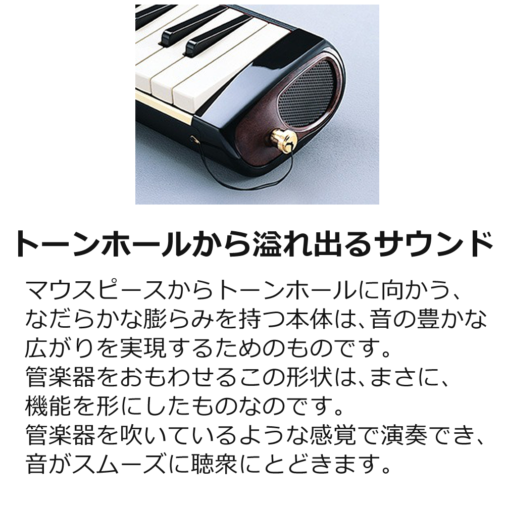 アイオン SUZUKI スズキ 鍵盤ハーモニカ メロディオン アルト アイオン SUZUKI スズキ 鍵盤ハーモニカ メロディオン アルト