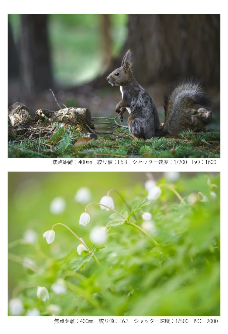 Sigma100-400mm sony用　レンズカバー込み シグマ （レビューでレンズキャッププレゼント）シグマ 100