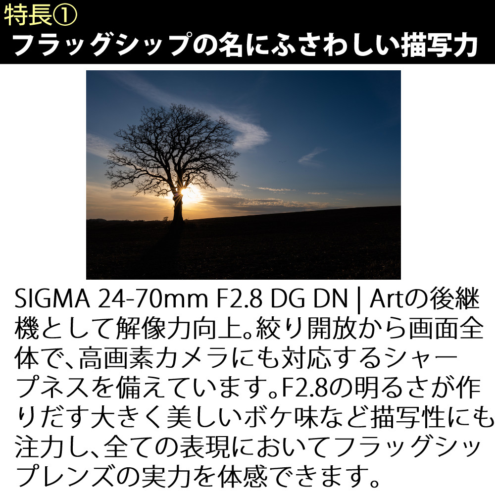 シグマ （レビュープレゼント）シグマ 24-70mm F2.8 DG DN II