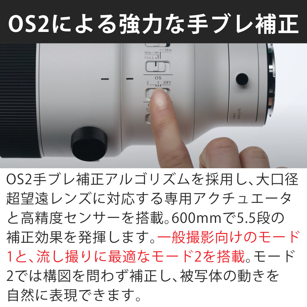 シグマ（SIGMA） （レビュー特典あり）シグマ 300-600mm F4 DG OS（S