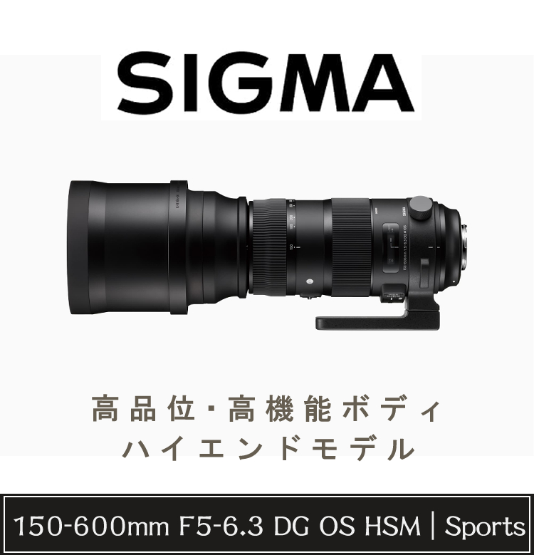 レビューでレンズキャッププレゼント）シグマ 150-600mm F5-6.3 DG OS