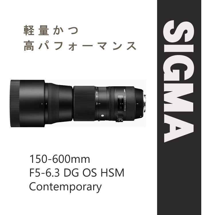 レビューでレンズキャッププレゼント） セット シグマ 150-600mm F5