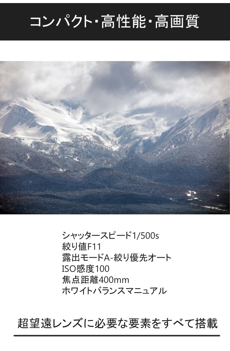 シグマ レンズ保護フィルター付 100-400mm F5-6.3 DG OS HSM(C シグマ レンズ保護フィルター付 100-400mm F5-6.3 DG OS HSM(C