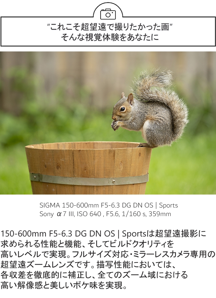 シグマ カメラレンズ&クロスセット 150-600mm F5-6.3 DG DN OS シグマ カメラレンズ&クロスセット 150-600mm F5-6.3 DG DN OS